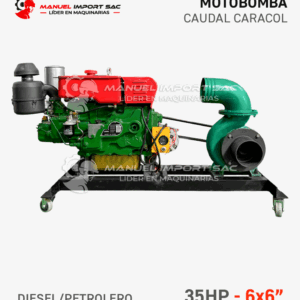 Motobomba Estacionaria de Eje Libre 6x6” 35 HP
